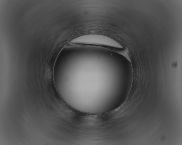 X0000091170086200708231515