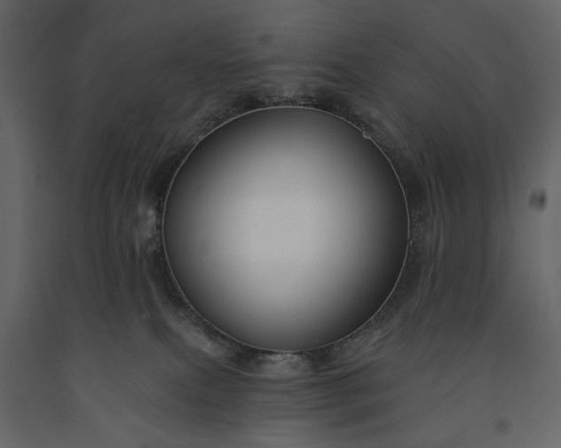 X0000091170087200708231515