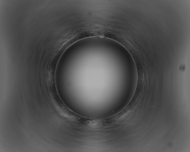 X0000091170088200708231515