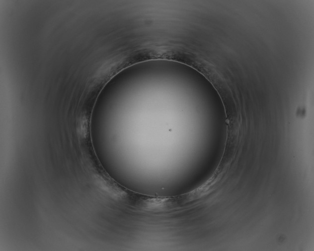 X0000091170090200708231515