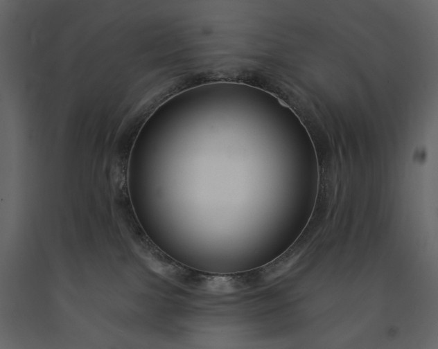 X0000091170091200708231515