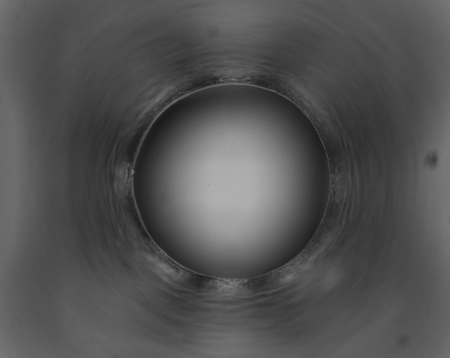 X0000091170093200708231515