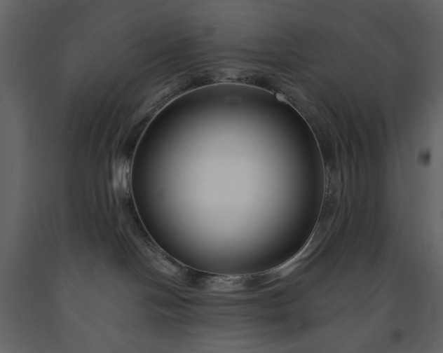 X0000091170094200708231515