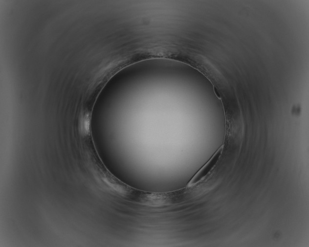 X0000091170095200708231515