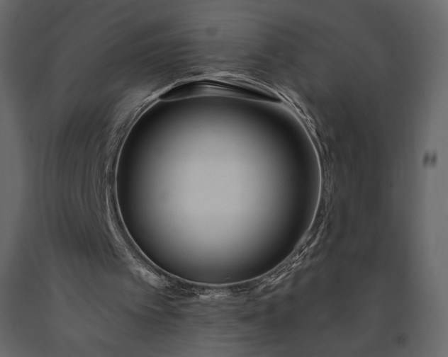 X0000091170097200708231515