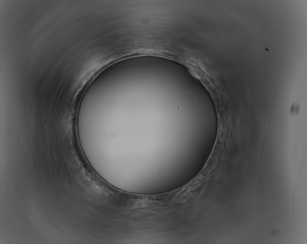 X0000091170098200708231514