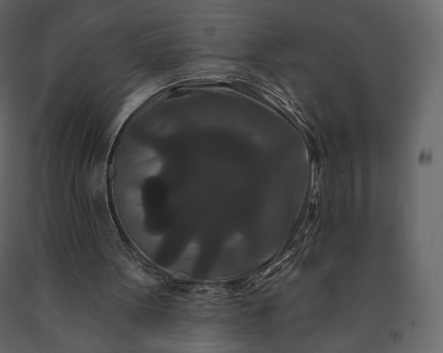 X0000091170099200708231514