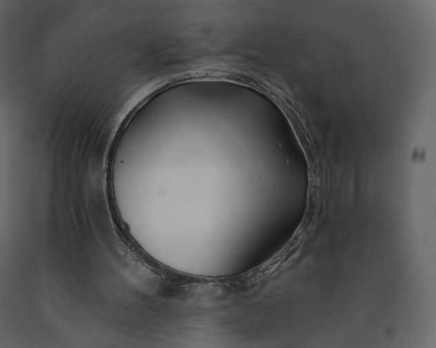 X0000091170100200708231514