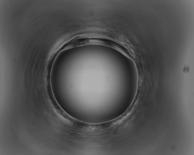 X0000091170101200708231514