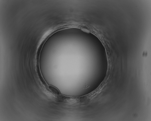 X0000091170102200708231514