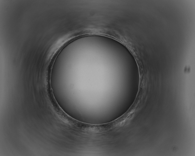 X0000091170103200708231514