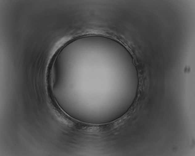 X0000091170104200708231514