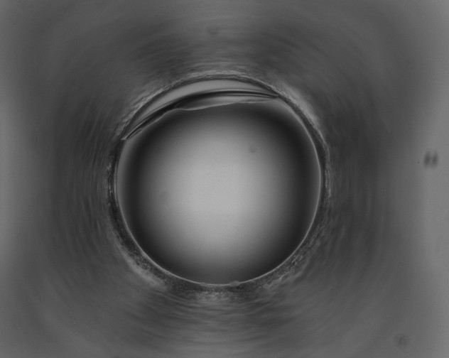 X0000091170105200708231514