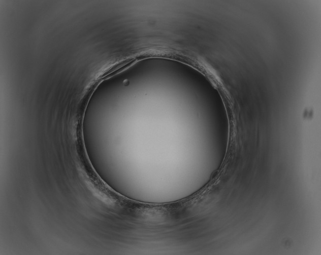 X0000091170106200708231514