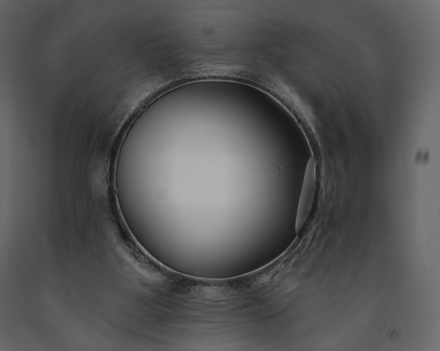 X0000091170107200708231514