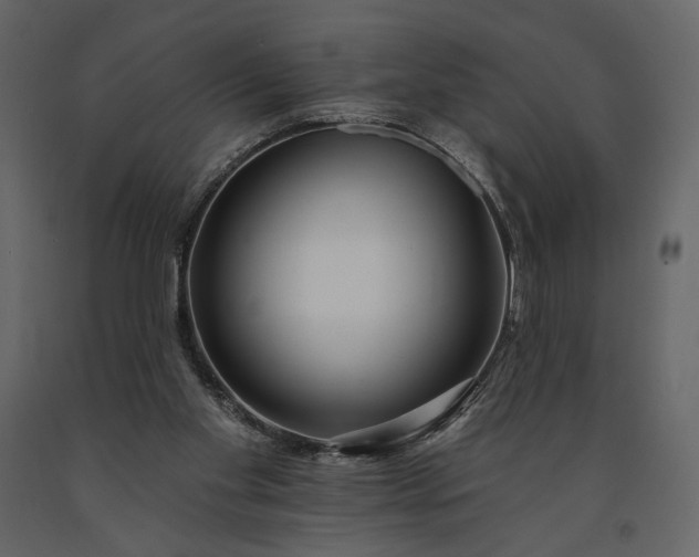 X0000091170109200708231514