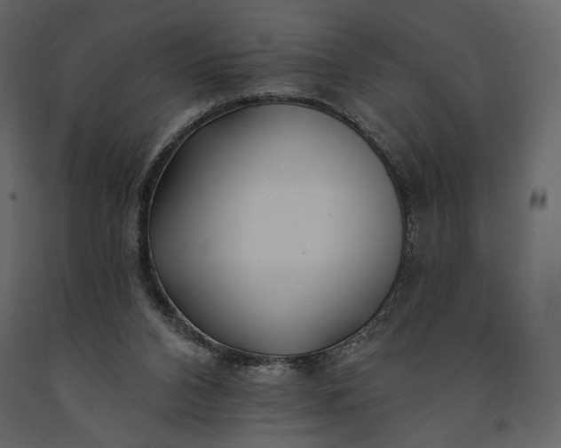 X0000091170112200708231514