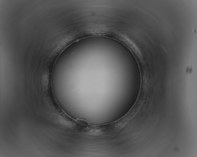 X0000091170113200708231514