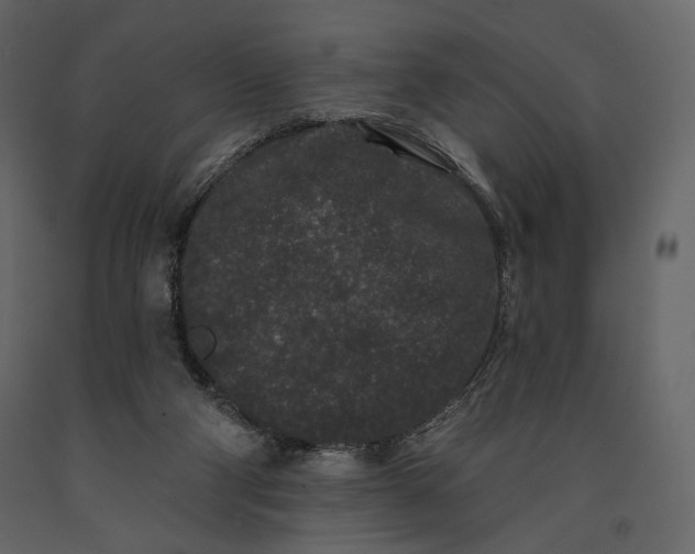 X0000091170114200708231514