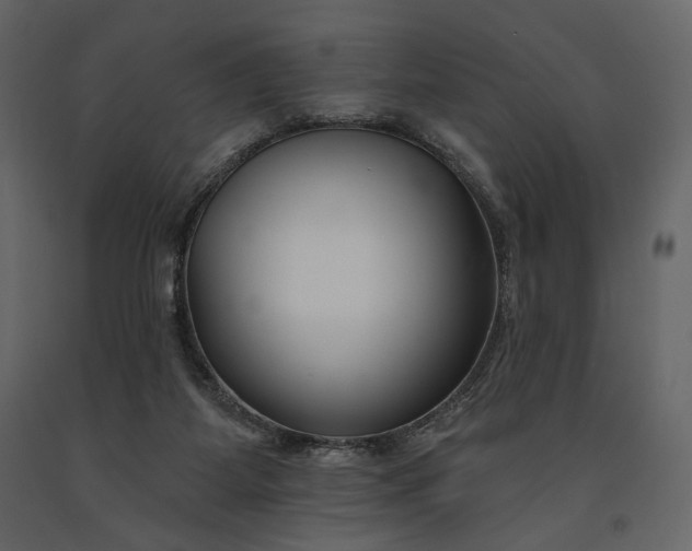 X0000091170115200708231514