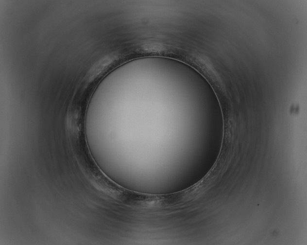 X0000091170116200708231514