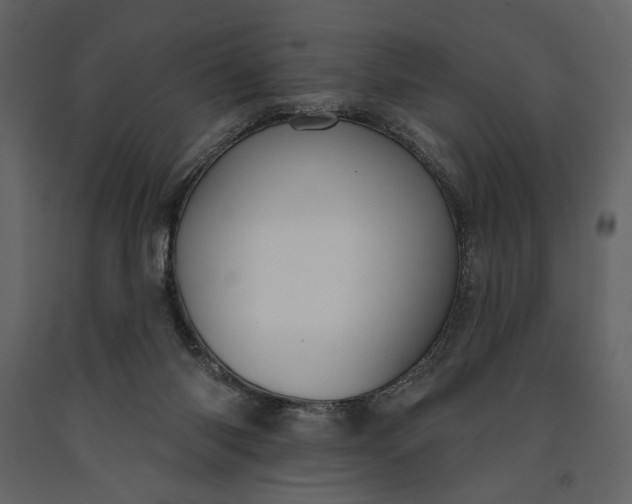 X0000091170118200708231514