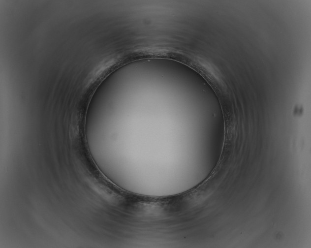 X0000091170120200708231514