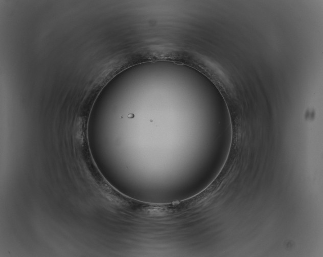 X0000091170121200708231514