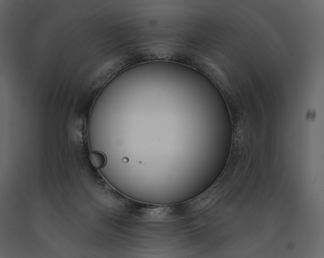 X0000091170122200708231514