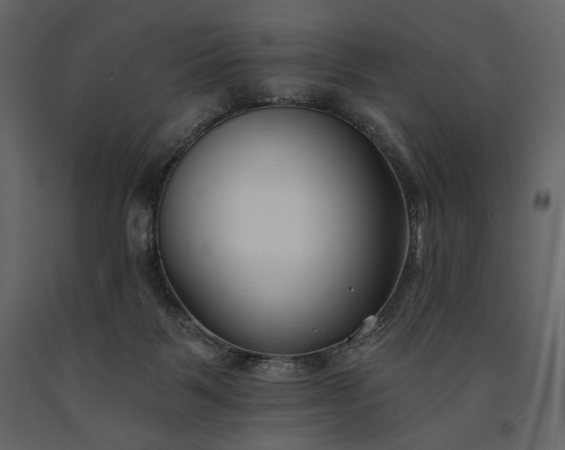 X0000091170123200708231514