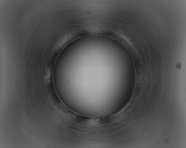 X0000091170124200708231514