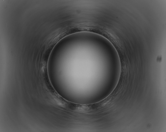 X0000091170125200708231514