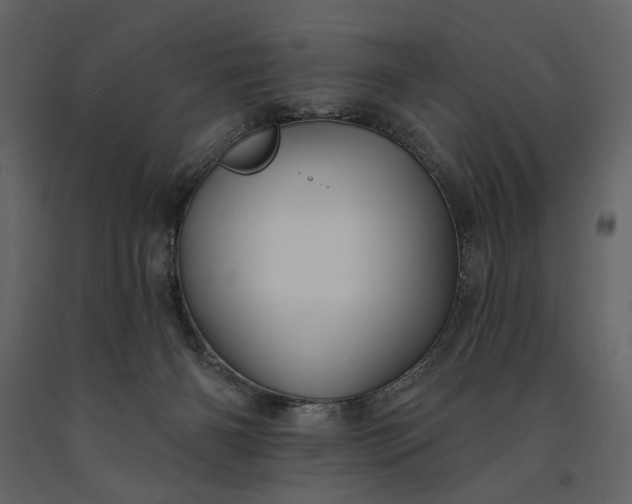 X0000091170126200708231514