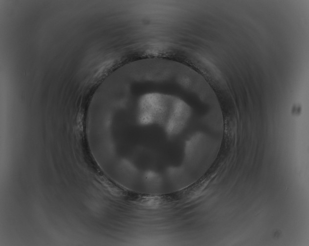 X0000091170127200708231514