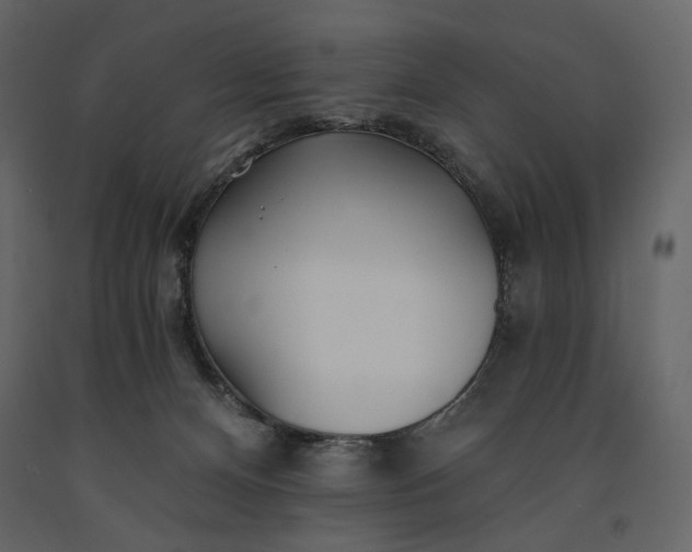 X0000091170128200708231514