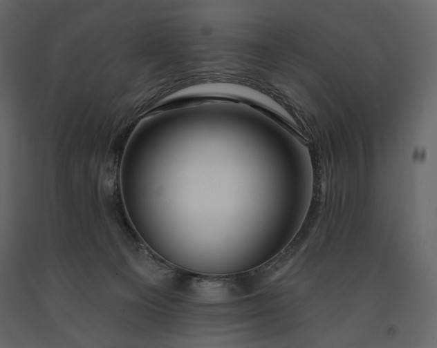 X0000091170129200708231514