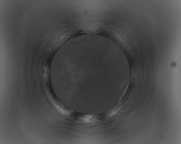 X0000091170130200708231514