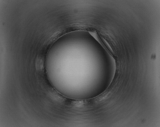 X0000091170131200708231514