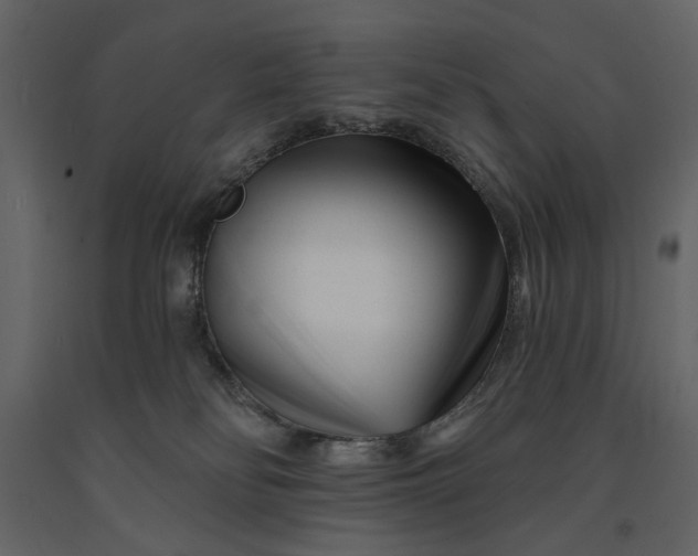 X0000091170134200708231514