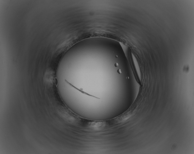 X0000091170135200708231514