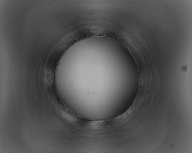 X0000091170136200708231514