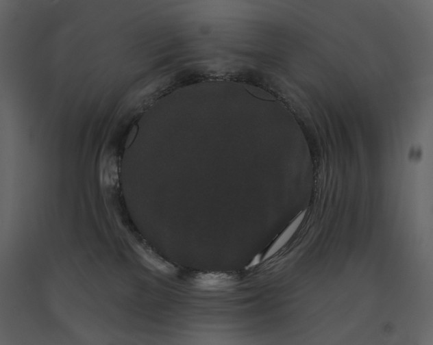 X0000091170137200708231514