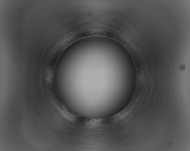 X0000091170138200708231514