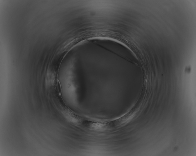 X0000091170139200708231514