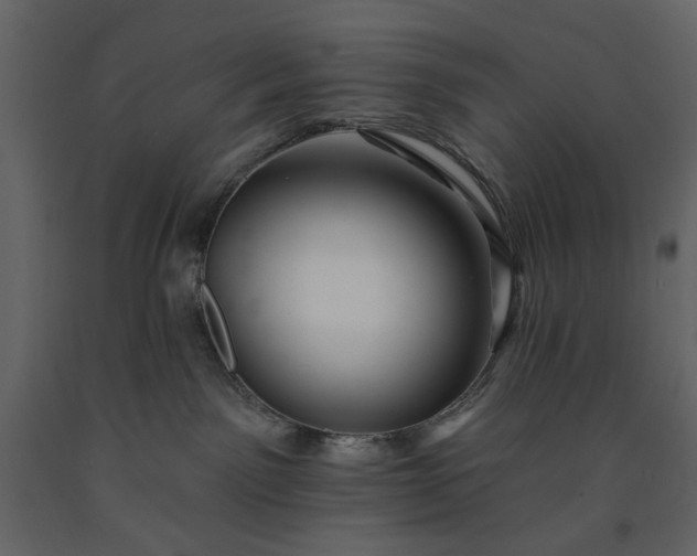 X0000091170141200708231514