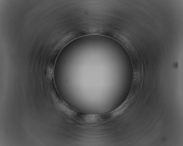 X0000091170142200708231514