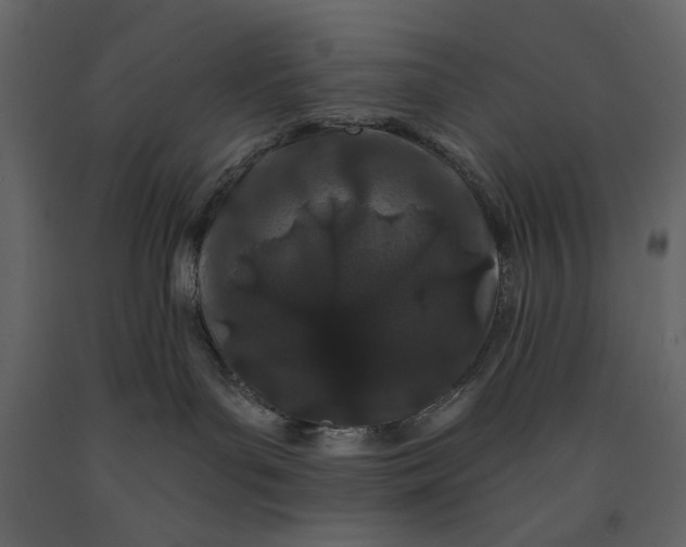 X0000091170143200708231514