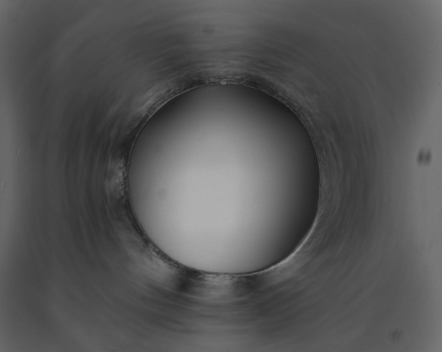 X0000091170144200708231514