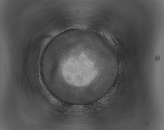 X0000091170145200708231513