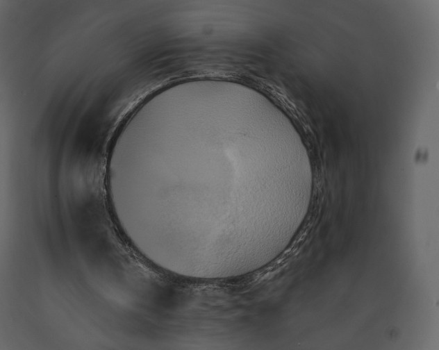 X0000091170146200708231513